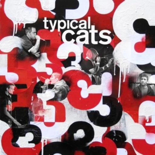 Tapical Cats – 3