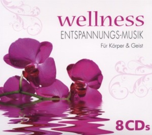 Diverse – Wellness - Entspannungs-Musik für Körper & Geist