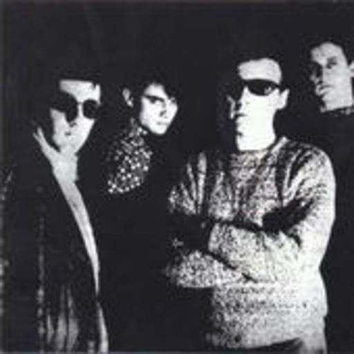 Television Personalities – The Painted Word