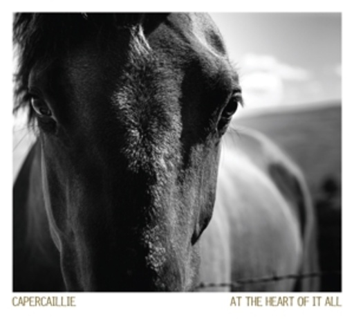 Capercaillie – At The Heart Of It All