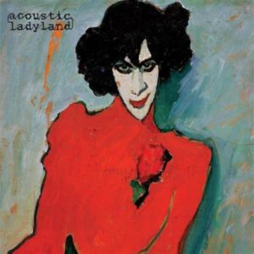 Acoustic Ladyland – Skinny Grim