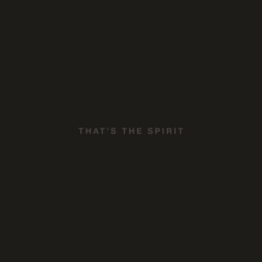Bring Me The Horizon – That's The Spirit