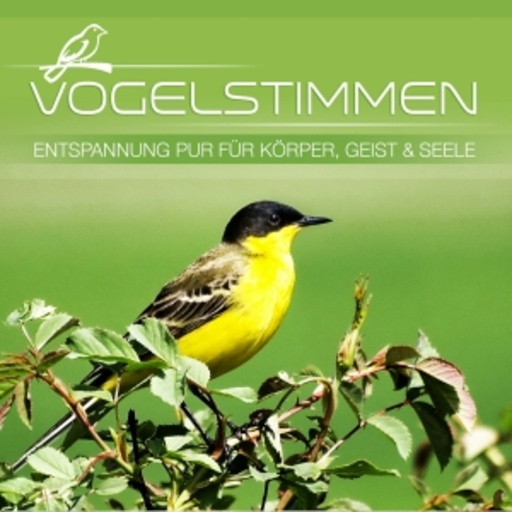 Diverse – Vogelstimmen
