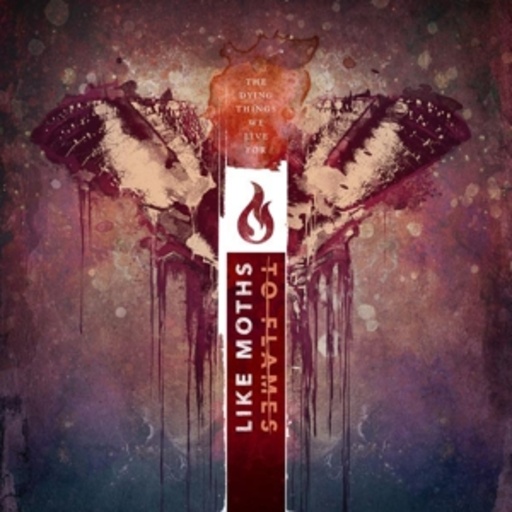 Like Moths To Flames – The Dying Things We Live For