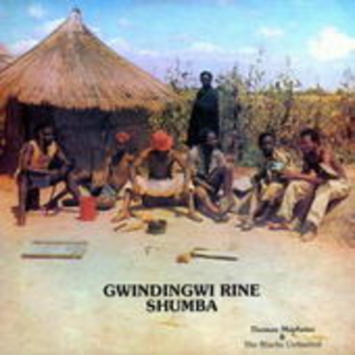Thomas Mapfumo & The Acid Band – Gwindingwi Rine Shumba
