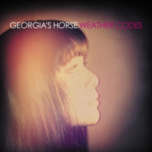 Georgia's Horse – Weather Codes