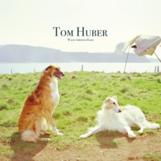 Tom Huber – Walk Through Elko