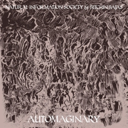 Natural Information Society & Bitchin Bajas – Automaginary