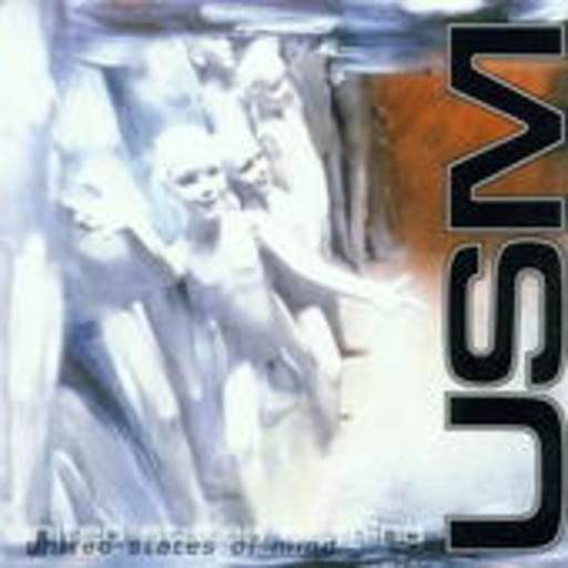 USM – Silver Step Child