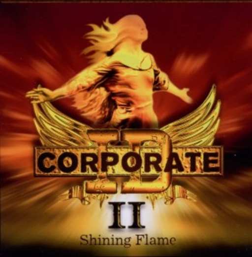Corporate ID – Shining Flame