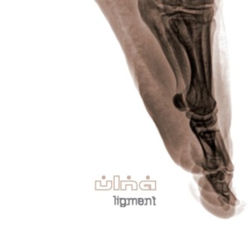 Ulna – Ligment