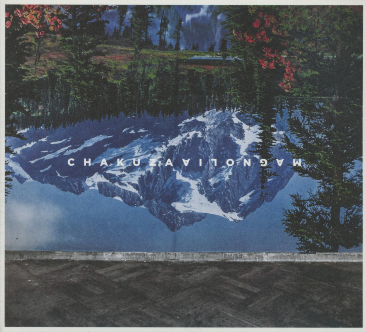 Chakuza – Magnolia