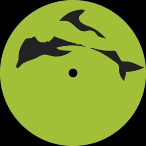 Laurel Halo – Behind The Green Door EP
