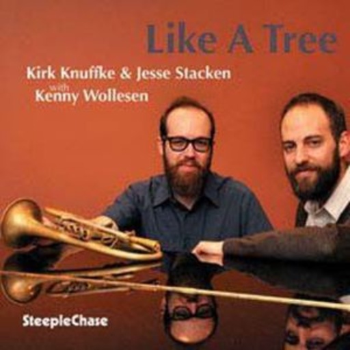 Kirk Knuffke/Kenny Wollesen – Like A Tree