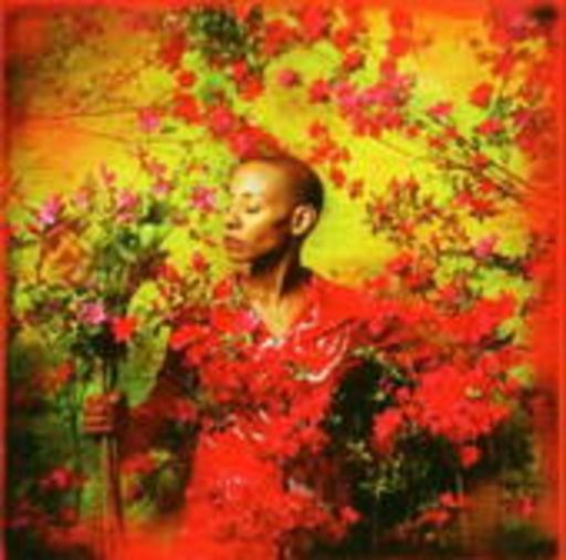 Gail Ann Dorsey – I Used To Be