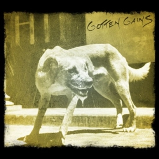 Ill – Gotten Gains