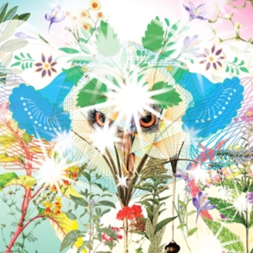 Ooioo – Gamel
