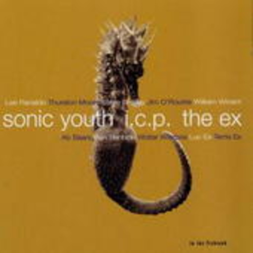 Sonic Youth + I.C.P. + The Ex – In The Fishtank