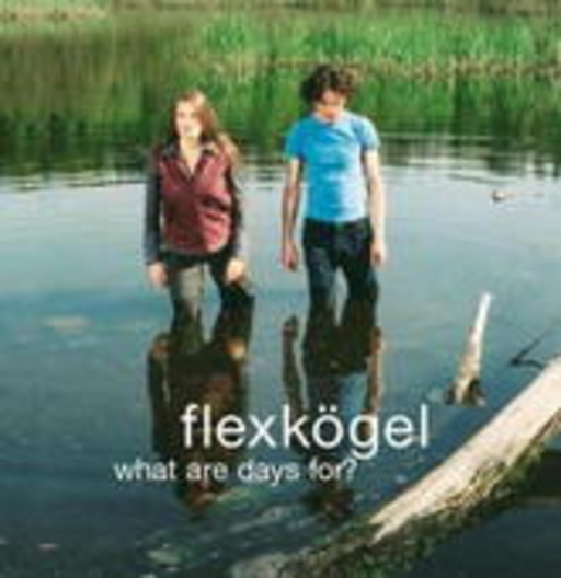 Flexkögel – What Are Days For?
