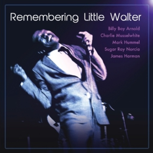 Diverse – Remembering Little Walter