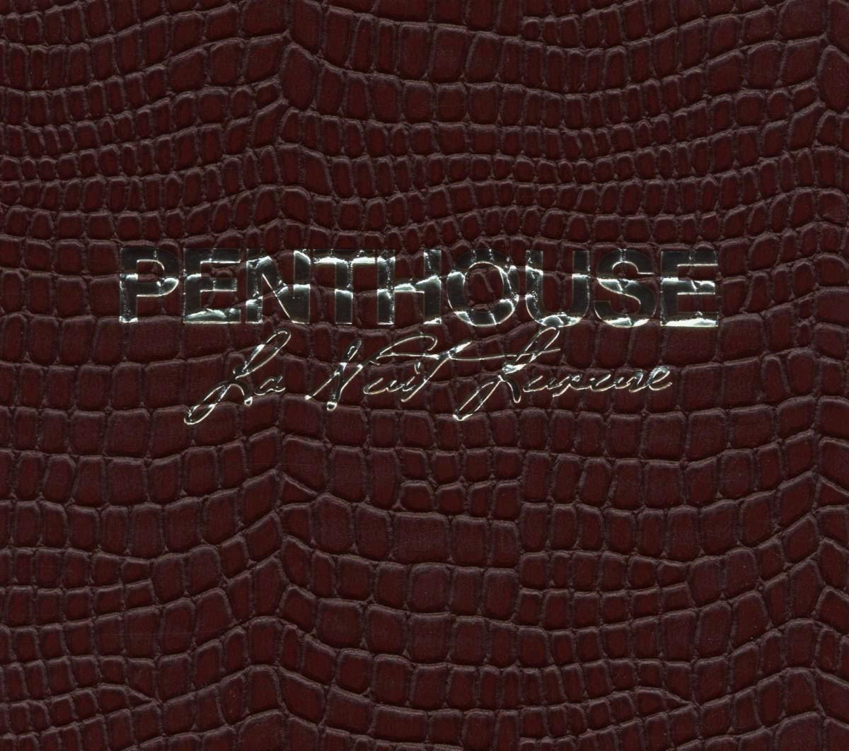 Diverse – Penthouse - La Nuit Luxure
