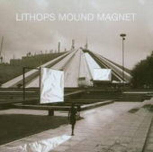 Lithops – Mound Magnet