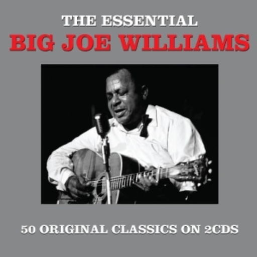 Big Joe Williams – The Essential