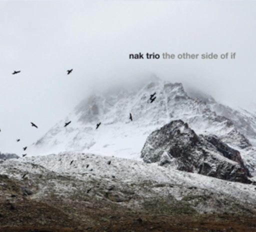 NAK Trio – The Other Side Of If