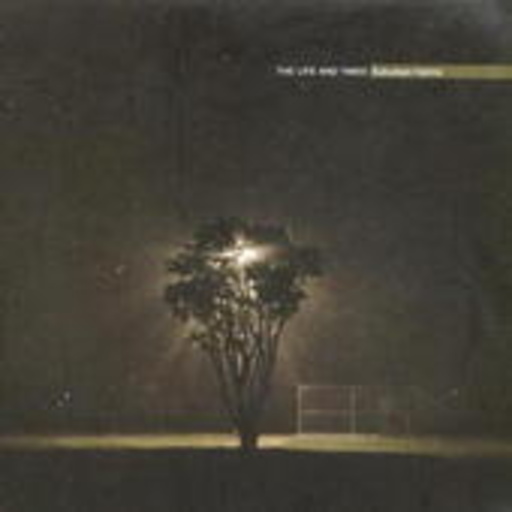 The Life And Times – Suburban Hymns