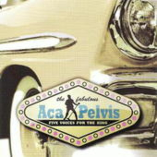 Acapelvis – Five Voices For The King