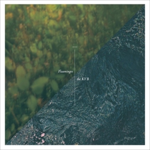 The KVB/Flaamingos – The KVB/Flaamingos
