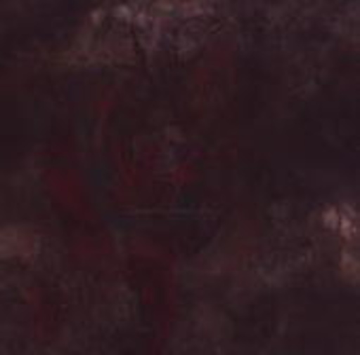 Desecrated Internal Journey