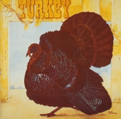 Wild Turkey – Turkey