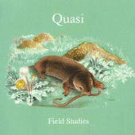 Quasi – Field Studies