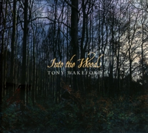 Tony Wakeford – Into The Woods