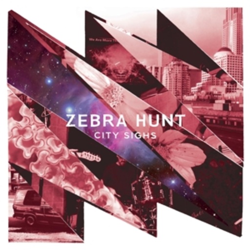 Zebra Hunt – City Sights
