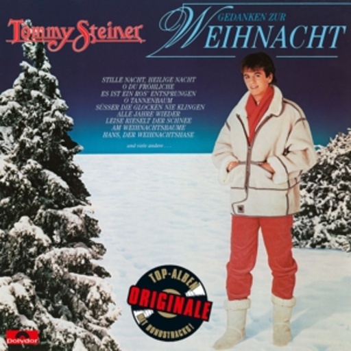 Tommy Steiner – Gedanken zur Weihnacht (Originale)