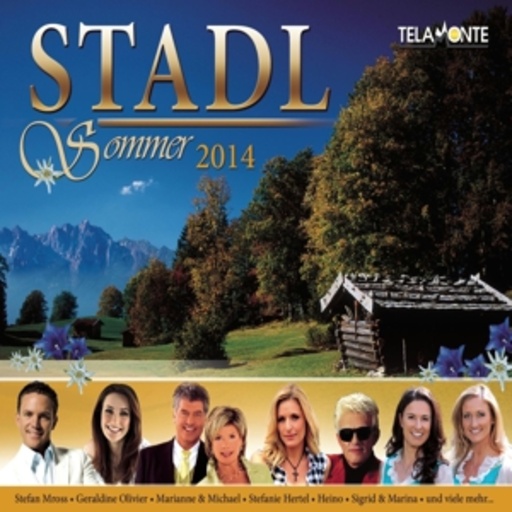 Diverse – Stadl - Sommer 2014