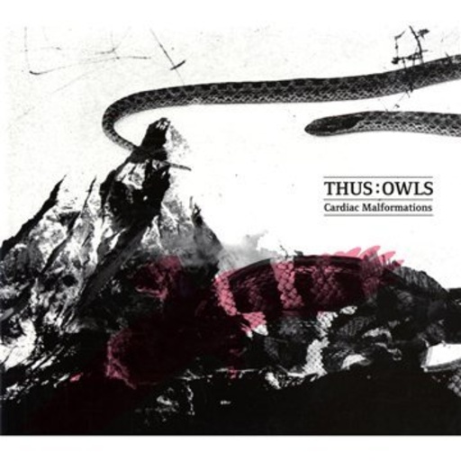 Thus: Owls – Carsiac Malformations