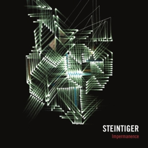 Steintiger – Impermanence
