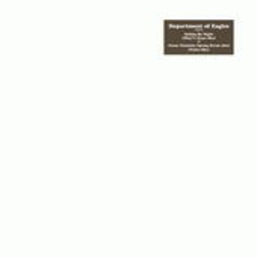 Department Of Eagles – Why? And Pedro Remixes