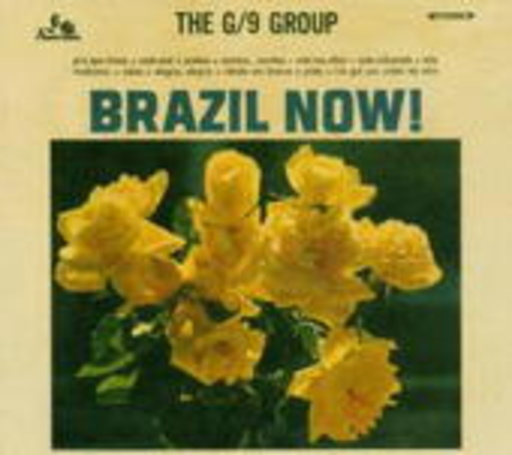 The G/9 Group – Brazil Now