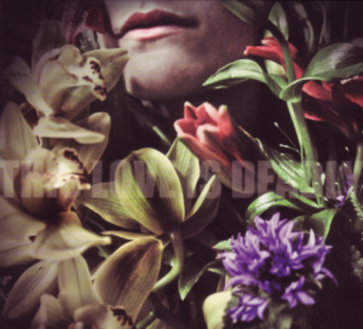 This Love Is Deadly – This Love Is Deadly