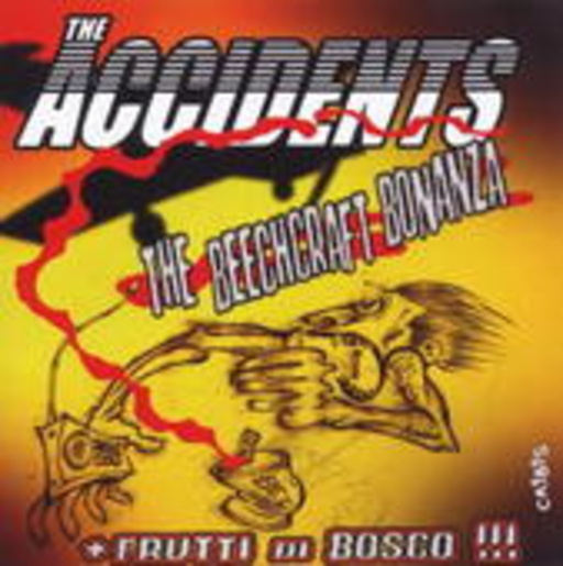The Accidents – The Beechcraft Bonanza