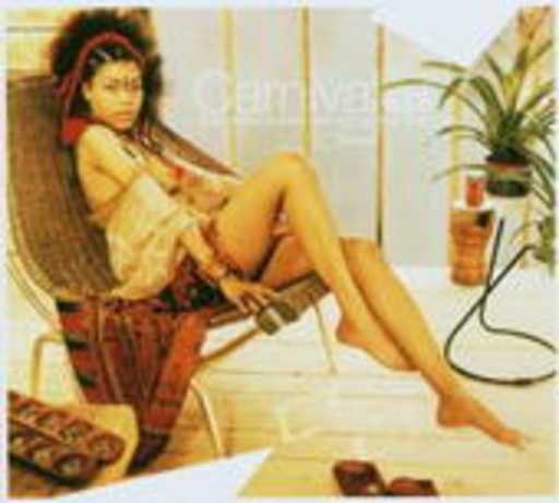 Diverse – Carnival - Spicy Flavors & Exotic Grooves Set Fire...