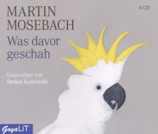 Stefan Kaminski – Was davor geschah