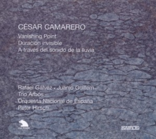 Rafael Gálvez/Juanjo Guillem – Vanishing Point, Duración Invisible, A Través Del Sonido De La Lluvia