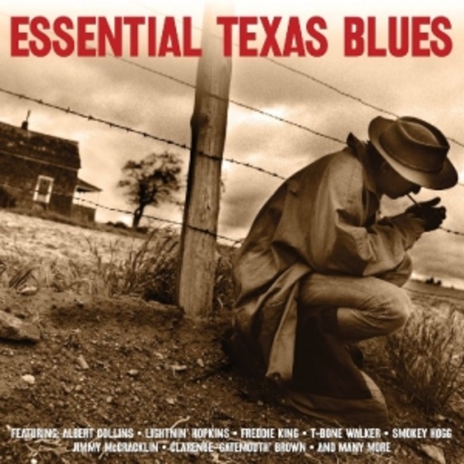 Diverse – Essential Texas Blues