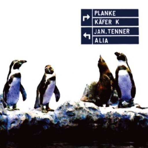Käfer K/Planke/Jan.Tenner/Alia – Käfer K/Planke/Jan.Tenner/Alia