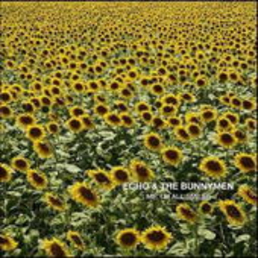 Echo & The Bunnymen – Me, I'm All Smiles